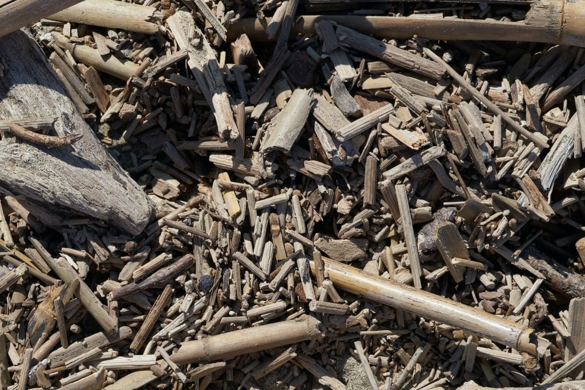 Le miscanthus en granulés : une solution éco-responsable pour se chauffer au naturel 