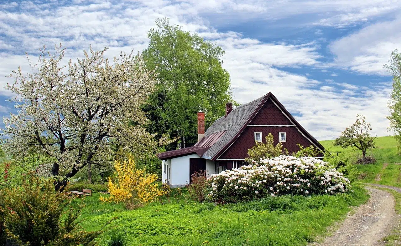 Comment faire un abattage sans impacter les arbres voisins ?