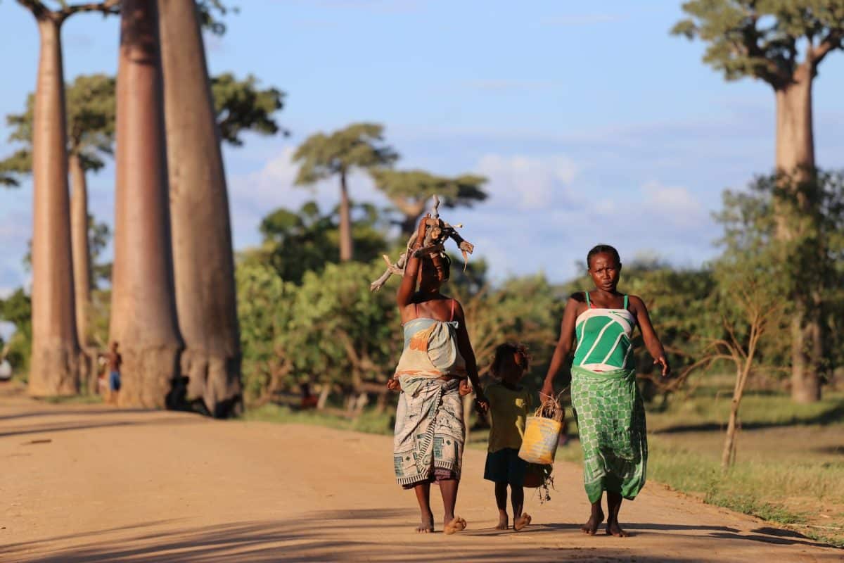 Le top des attractions touristiques à Madagascar