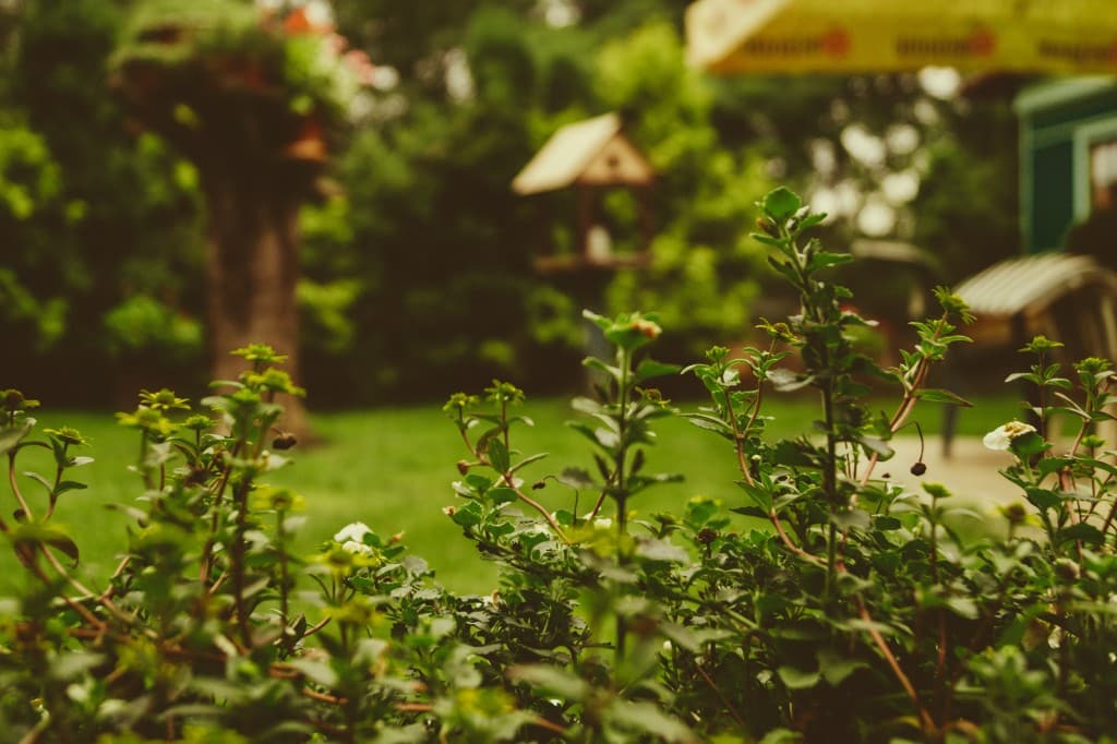 Quelle taille pour un abri de jardin ?