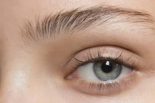 Combien de temps faut-il pour que les sourcils repoussent ?
