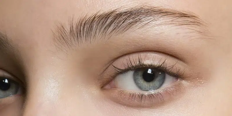 Combien de temps faut-il pour que les sourcils repoussent ?