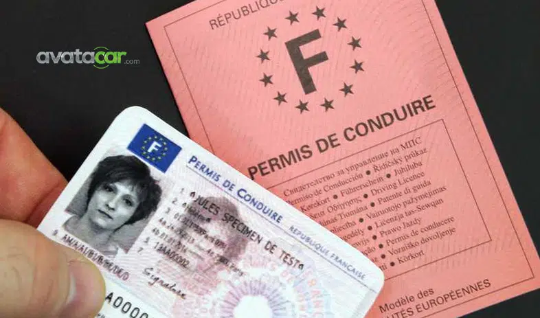 Qui délivre le permis de conduire ?