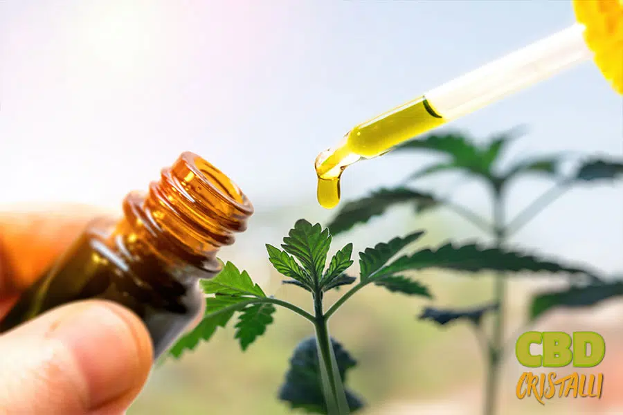 Quand utiliser l’huile de CBD ?