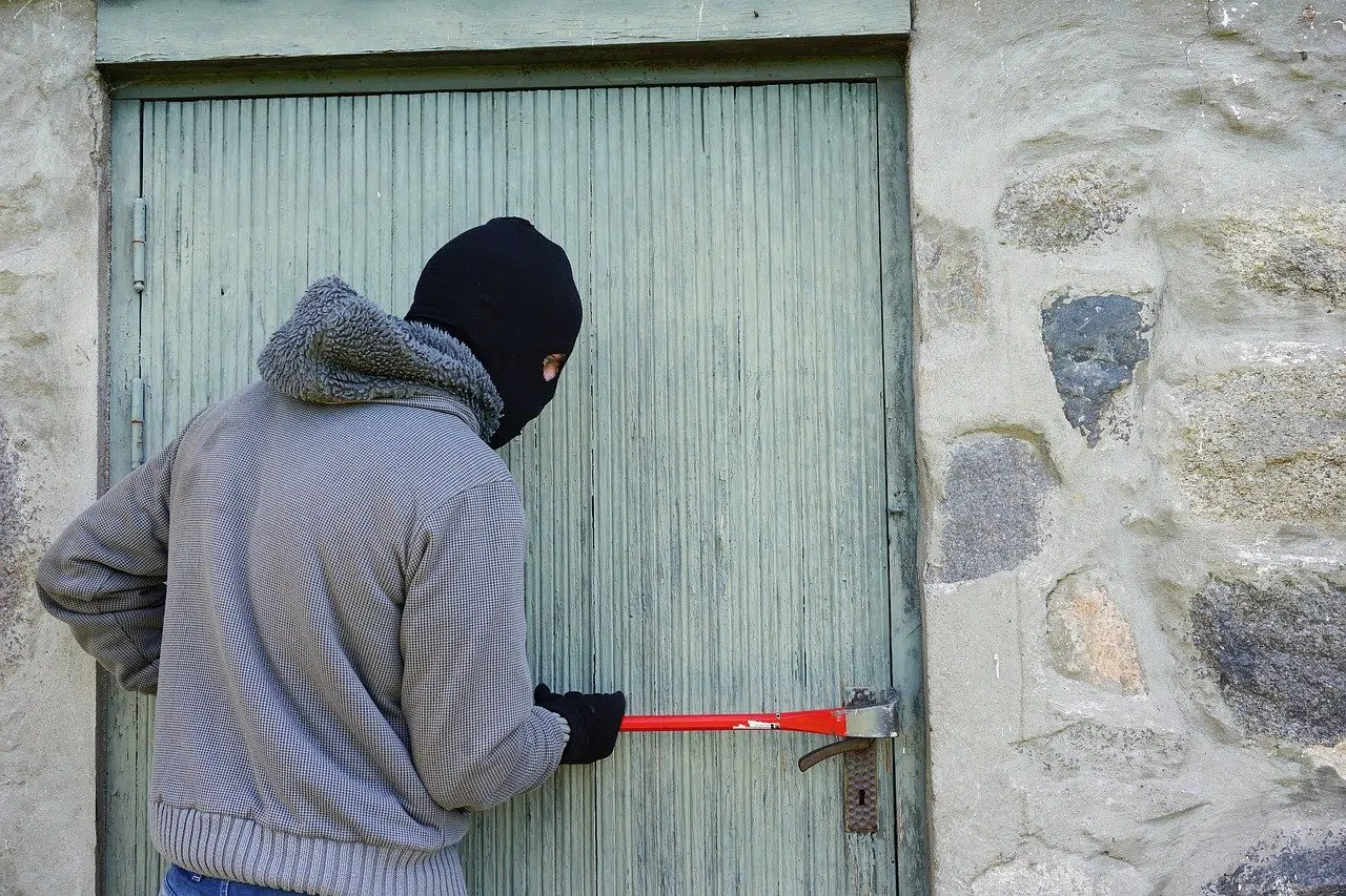 En quoi consiste la protection intrusion dans le système de sécurité